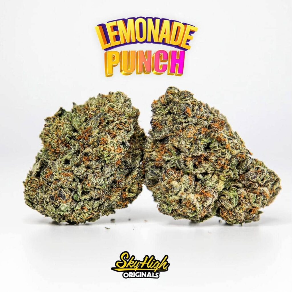 Skyhigh Lemonade Punch Weed