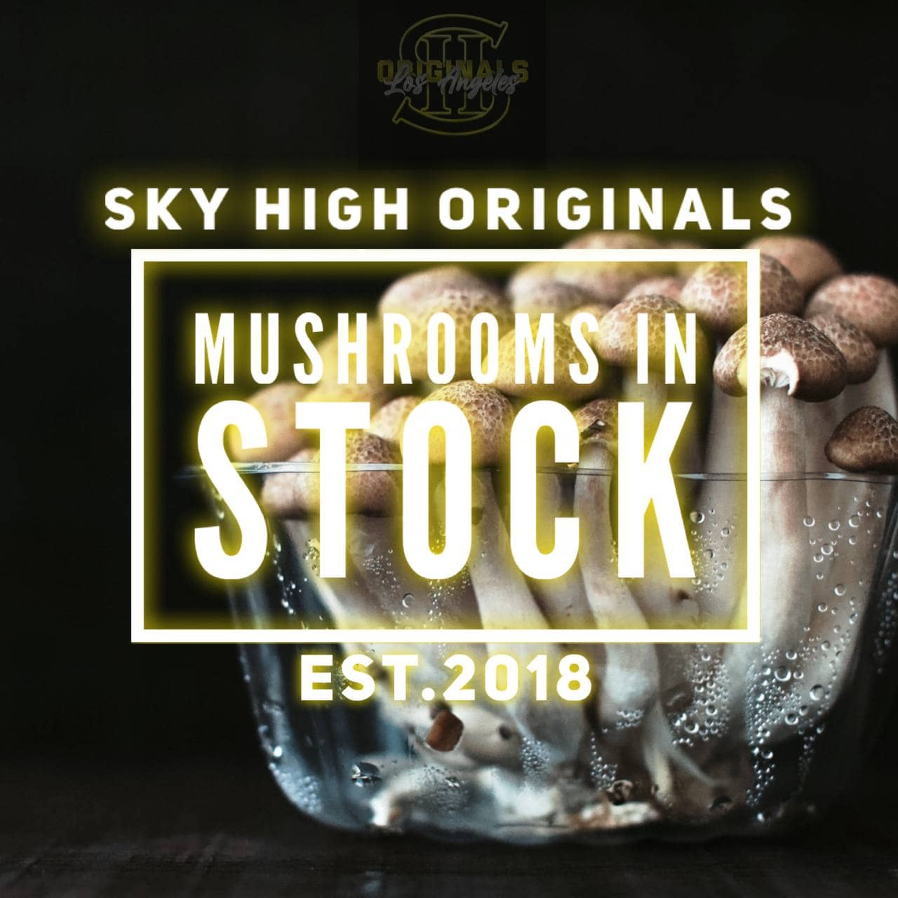 Skyhigh Magic Mushroom