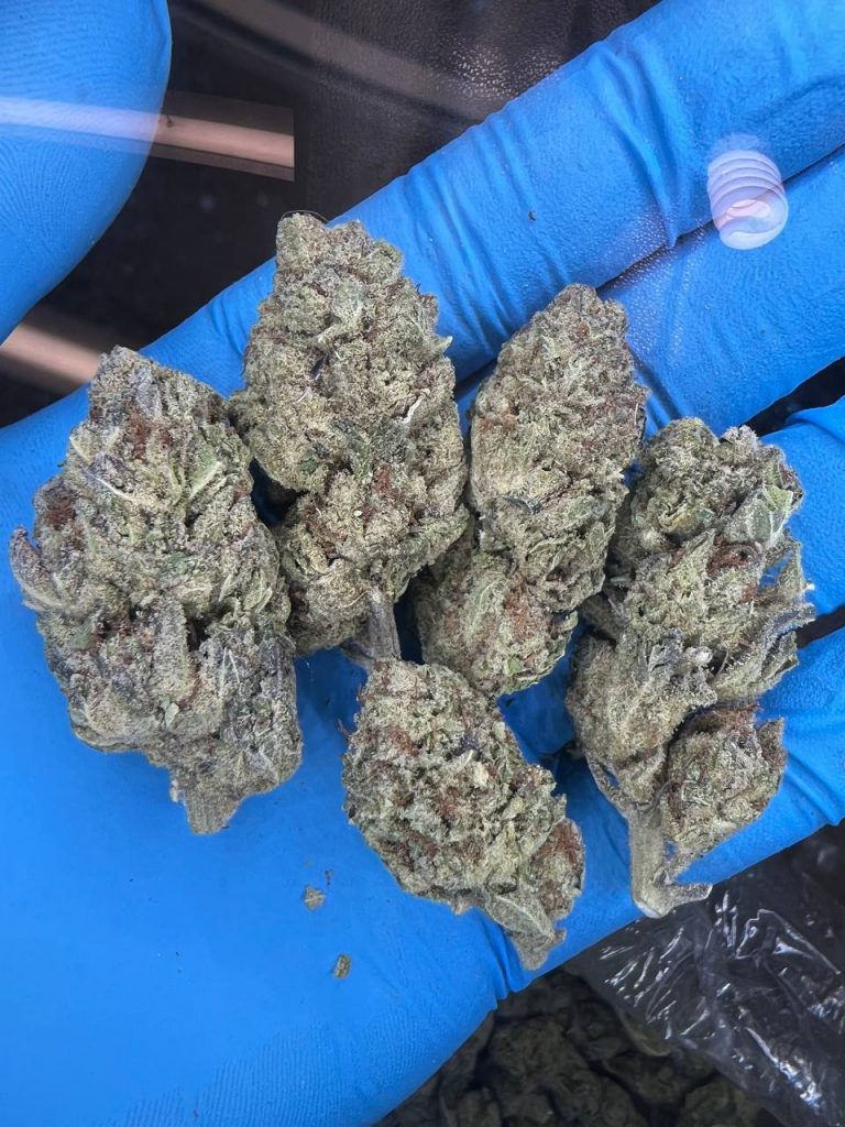 Buy GMO Cookies Strain - Skyhigh Originals