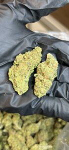 Apple Fritter