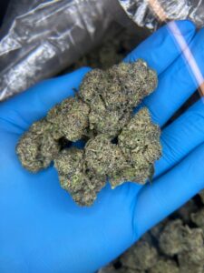 Frosty Cookies