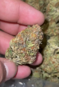 Fruit Punch